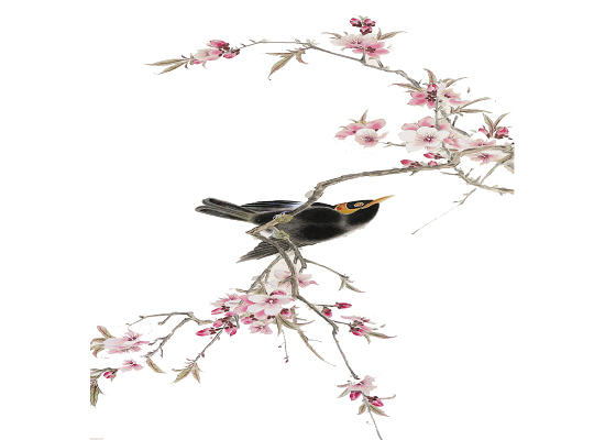 梦见杜鹃是什么意思 梦见杜鹃有什么预兆